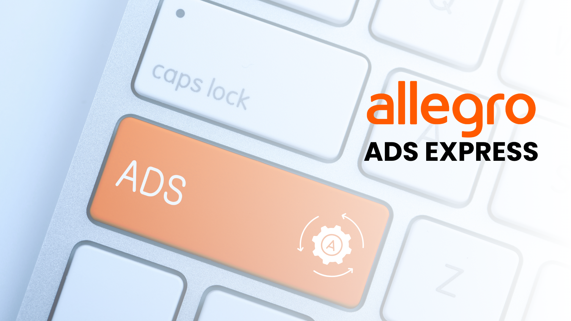 Allegro Ads Express: what it is and how it works, step by step
