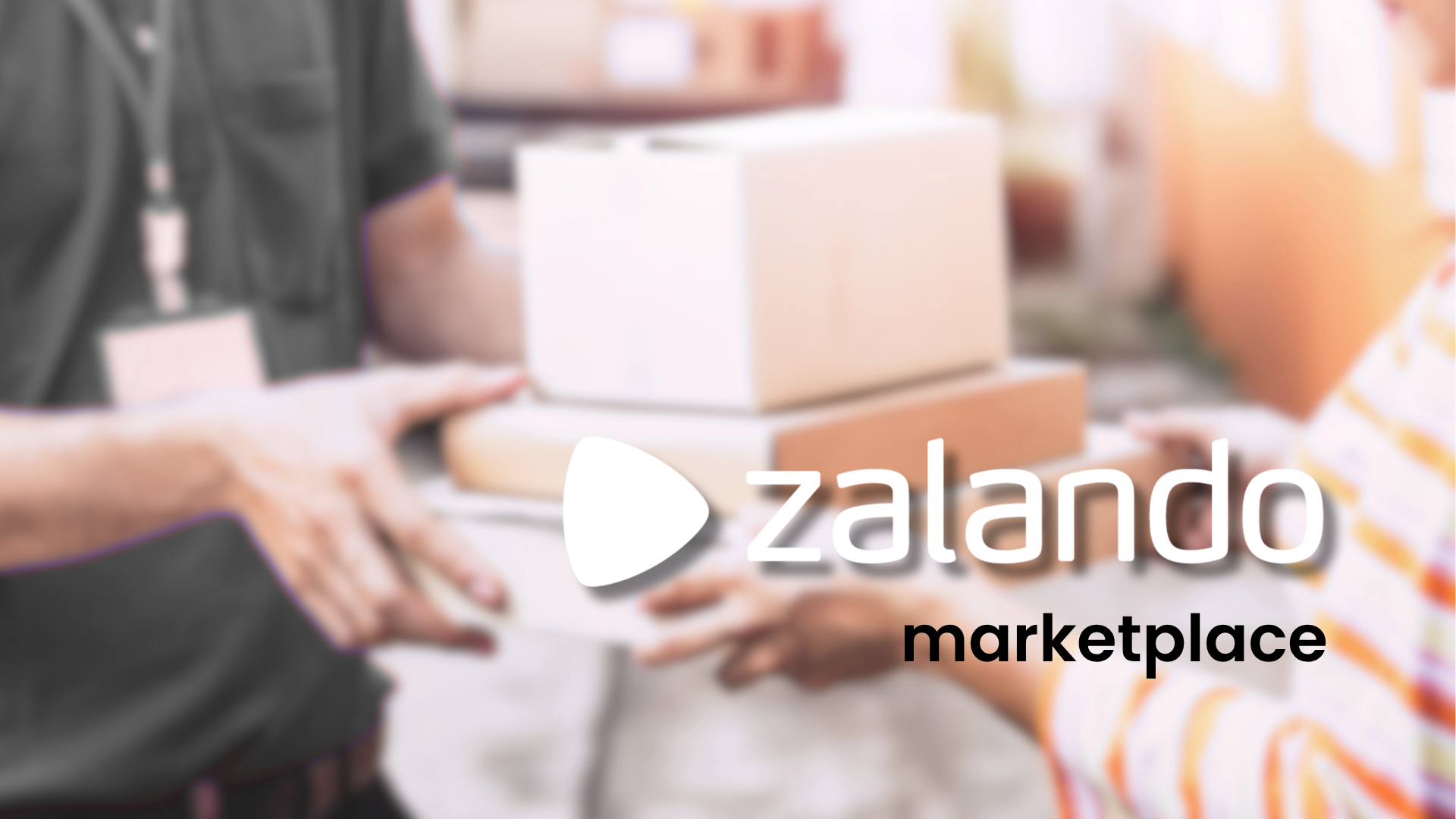Zalando marketplace: how to sell and what it costs in 2026
